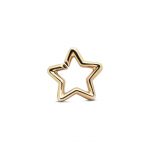 link din bronz in forma de stea